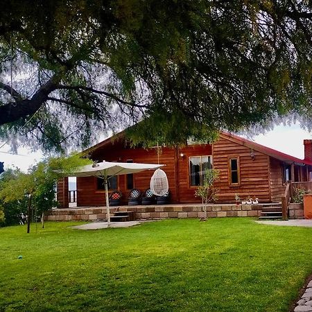 Casa Del Arbol Villa Pachuca Exterior photo