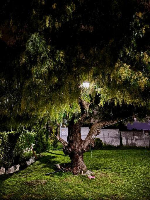 Casa Del Arbol Villa Pachuca Exterior photo